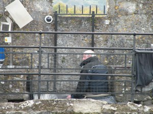 Kiss the Blarney Stone