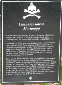 Marijuana sign